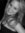 Harley Meredith | 25 comments