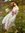 Zsofi (duchess_licorne) | 8 comments