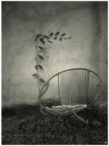 حفصة السحيباني