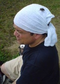 Steve Silver