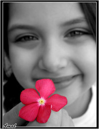 Wafaa Nageb