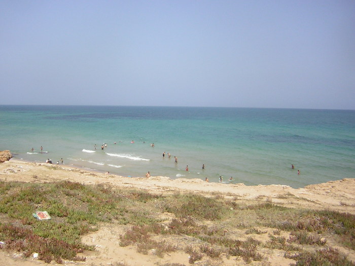 Goodreads profile picture for @virgin