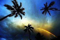 Sheila Sharpe