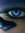 Sapphire Rayne