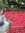 rosesamongthorns | 43 comments