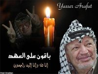 محمد المصرى