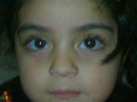 Mohammad Babai