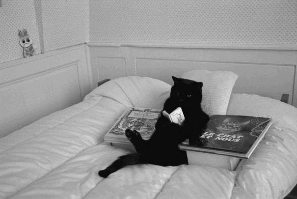 Goodreads profile picture for @sleeping