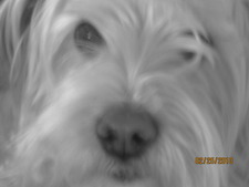Lilah C