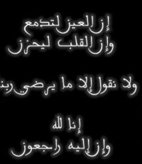 Heba Abdelhamid