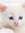 Snowstar | 136 comments
