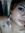 ALINE  ...