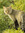 Bryce Brandvold (Cedarpelt) | 5 comments