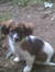 Amy