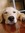 Bridgett Wayshire | 7 comments