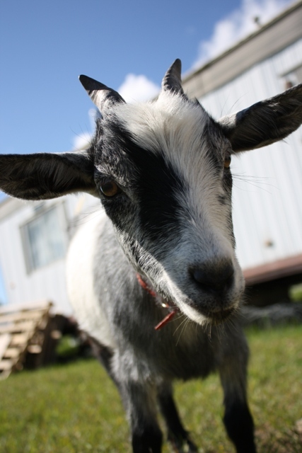 Goodreads profile picture for @skeptical