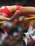 Highjump