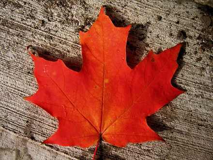 Goodreads profile picture for @canada