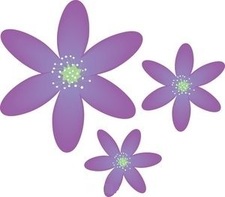 Saloni