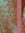 Liliana (lilianafidalgo) | 3 comments