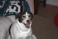 Lisa Snyder-phillips