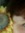 chryssy67