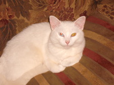 Maureen Mantrop-utterback