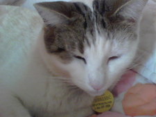 Lexphie (The Animal Lover)