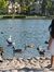 lisa_mrb