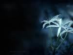 Amal