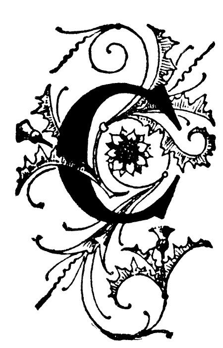 Goodreads profile picture for @cursed