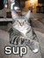 Susan