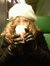 Sanne K...