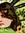 Jamie | 4 comments