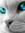 Lionblaze9 | 23 comments