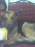 Nandith...