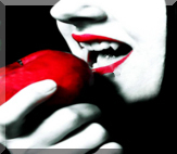 Kristin - *Nocturnal Bites*