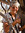 Judy | 6 comments