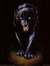 Panter790