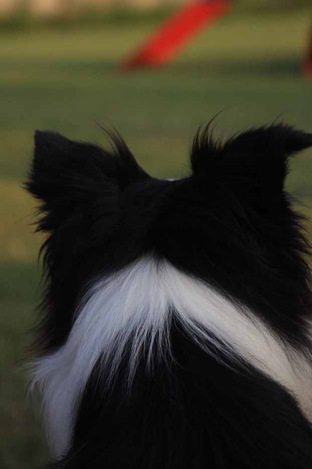 Goodreads profile picture for @madeira