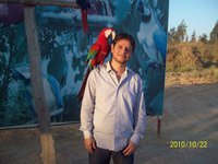 Ahmed Fouad