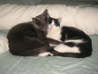 Angela