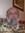Steven Prow (steveprow) | 1 comments