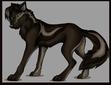 Shaygon