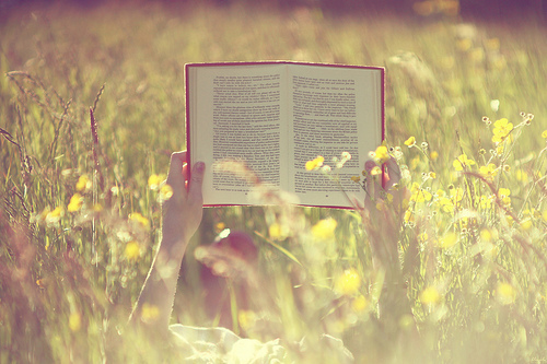 Goodreads profile picture for @raya