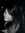 Ilze
