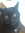 Issy123 | 14 comments