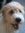 Amy (goodreadscomamy_cornell) | 3 comments