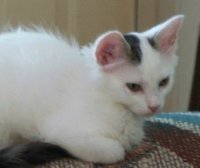 Beth Cossabone-murphy