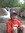 Colin McHugh